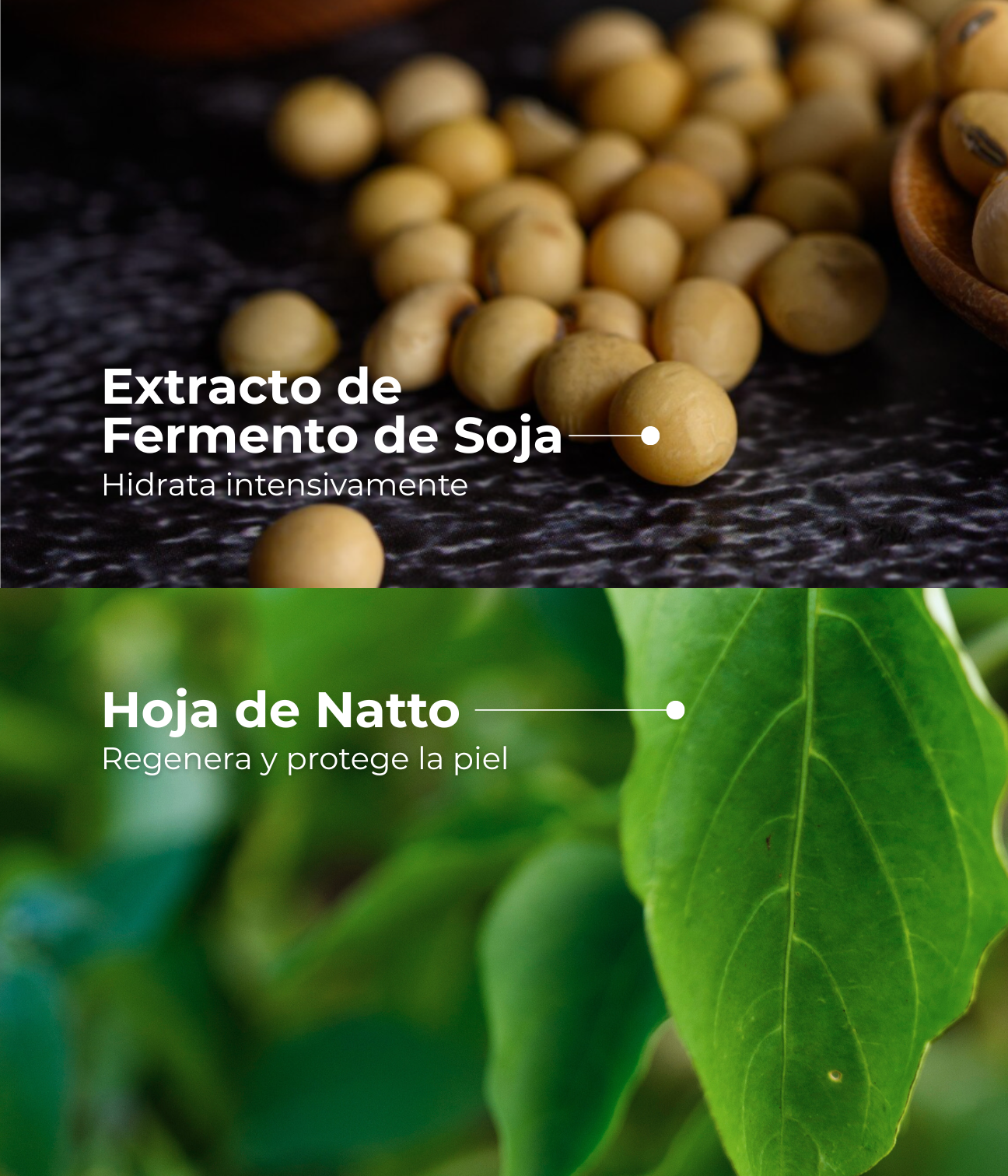 Ampolleta Wrinklear EGF